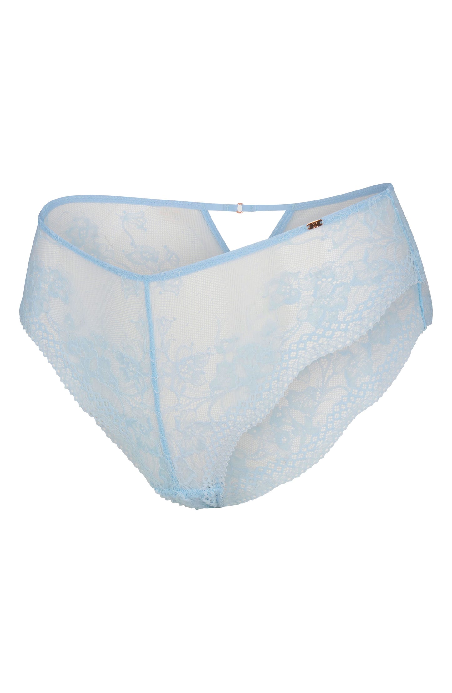 Top Drawer Lace Cheeky Briefs Call Me Petty