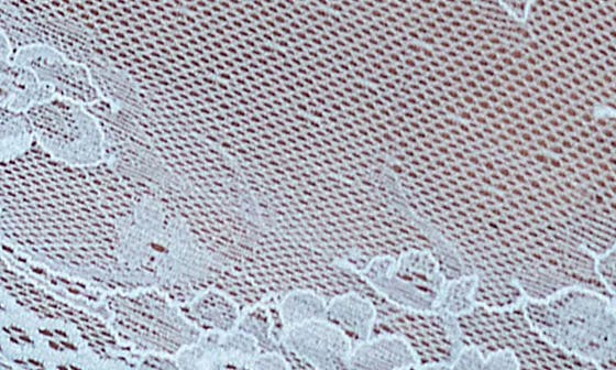 Top Drawer Lace Cheeky Briefs Call Me Petty
