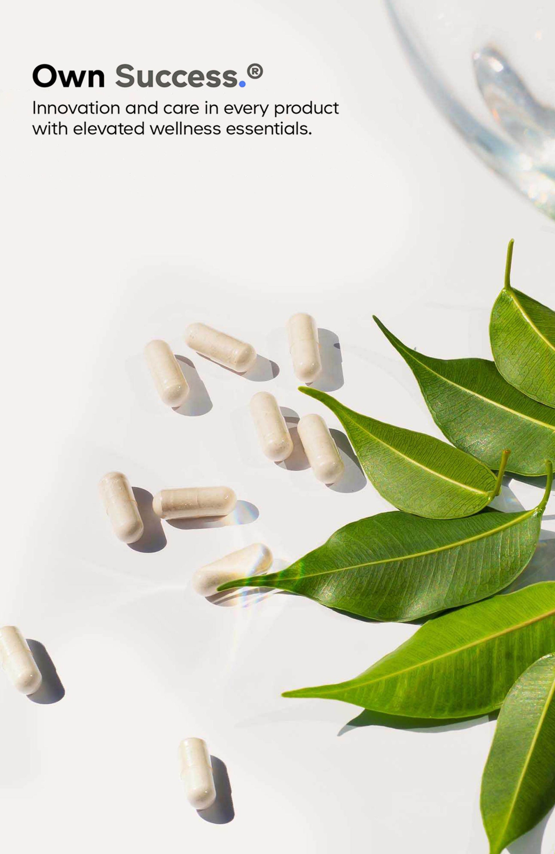 E-Sport Vitamins+ Citicoline Cognizin, Bacopa Monnieri, L-Theanine, Ginkgo, Lutein Call Me Petty