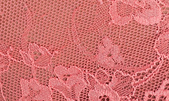 Top Drawer Lace Cheeky Briefs Call Me Petty